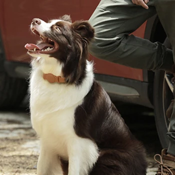 Ошейник Leagther для собак малого и среднего размера, аксессуары для воздушной бирки для домашних собак, Модный Дизайнерский Регулируемый кожаный ошейник