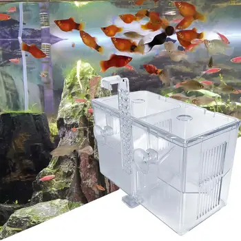 Ящик для разведения рыбы Толстый Изолирующий ящик для разведения рыбы Защищает детенышей рыбы Всасывающий ящик для разведения рыбы Материалы для аквариума